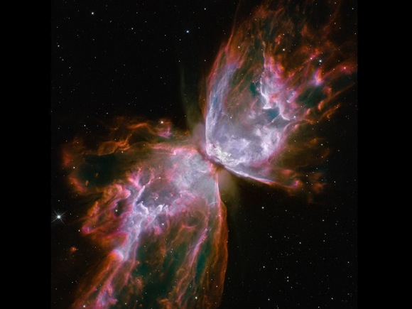 Butterfly nebula